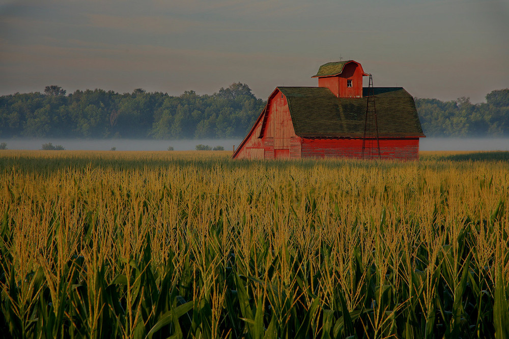 farm and crop insurance Kearney NE